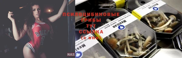 сатива Снежинск