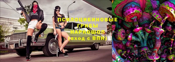 mdpv Володарск