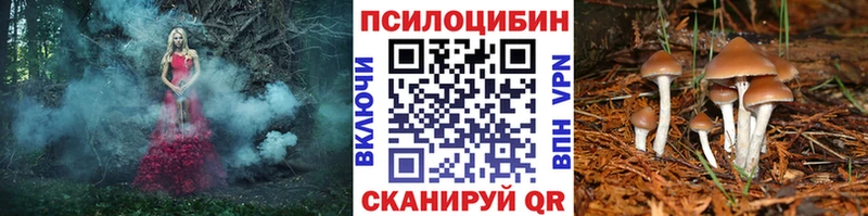 Галлюциногенные грибы GOLDEN TEACHER  KRAKEN tor  Снежинск 