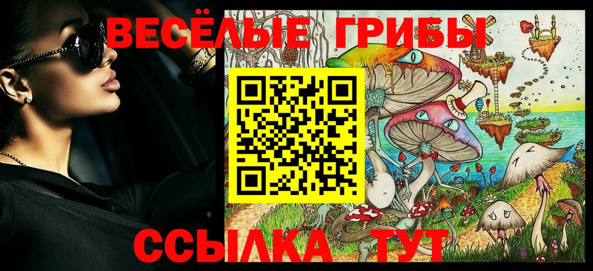 Псилоцибиновые грибы Cubensis Снежинск